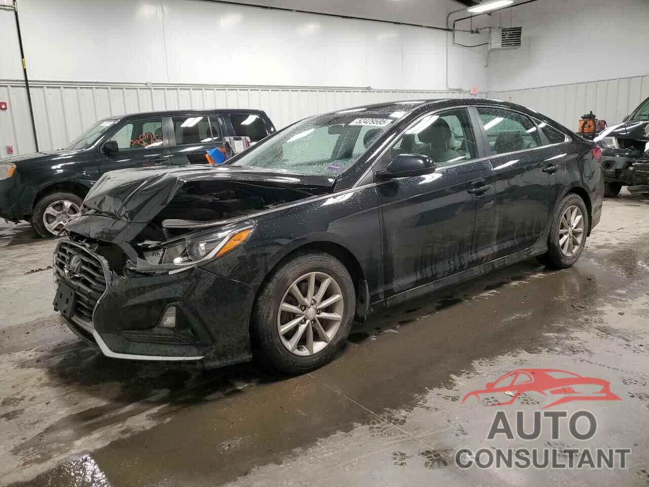 HYUNDAI SONATA 2019 - 5NPE24AF8KH811173