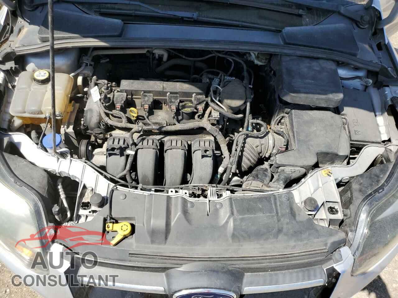 FORD FOCUS 2013 - 1FADP3F21DL254494