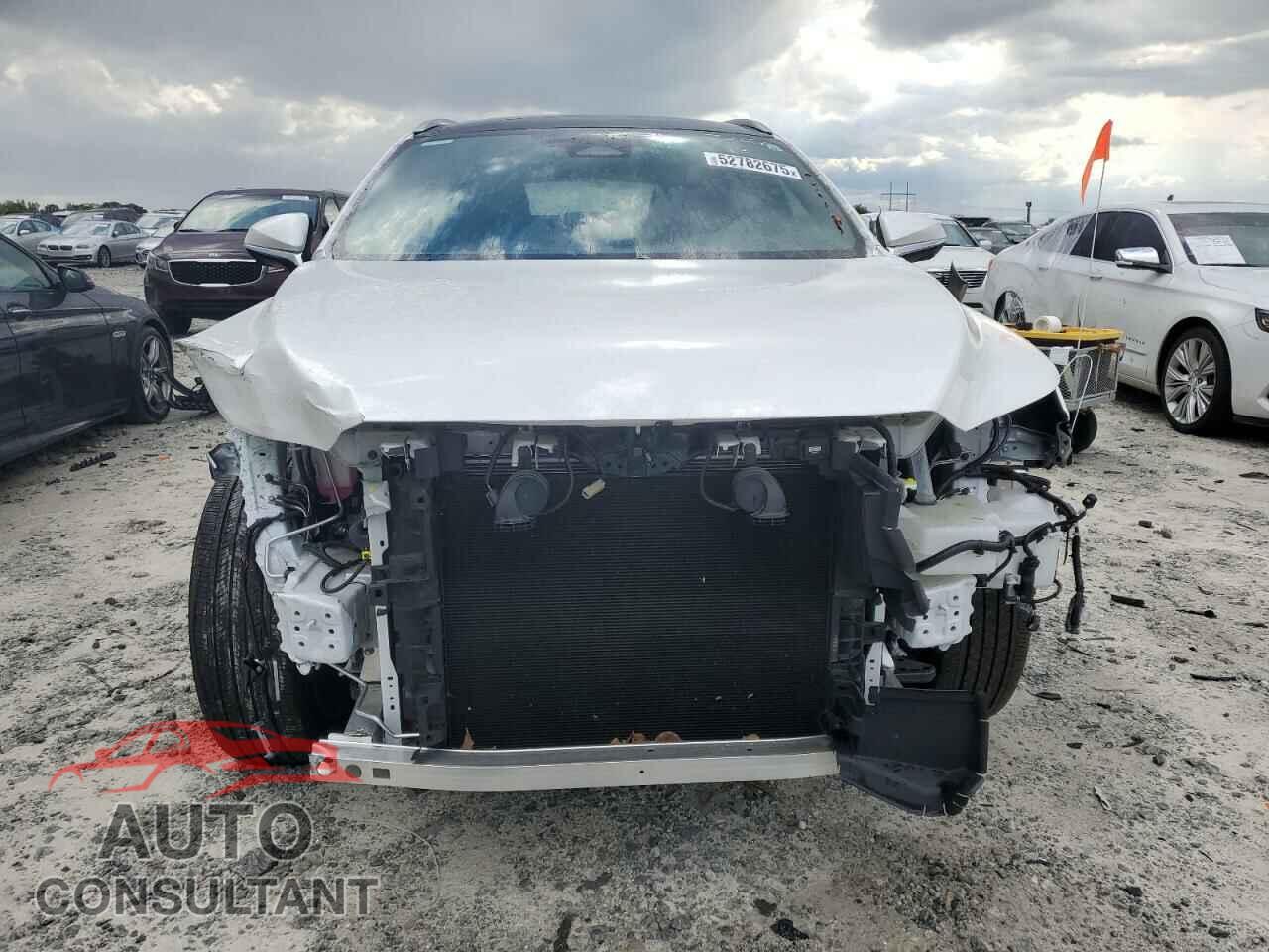 LEXUS RX350 2024 - 2T2BAMBAXRC039079