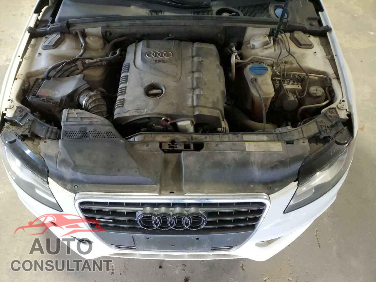 AUDI A4 2011 - WAUFFAFL8BN008866
