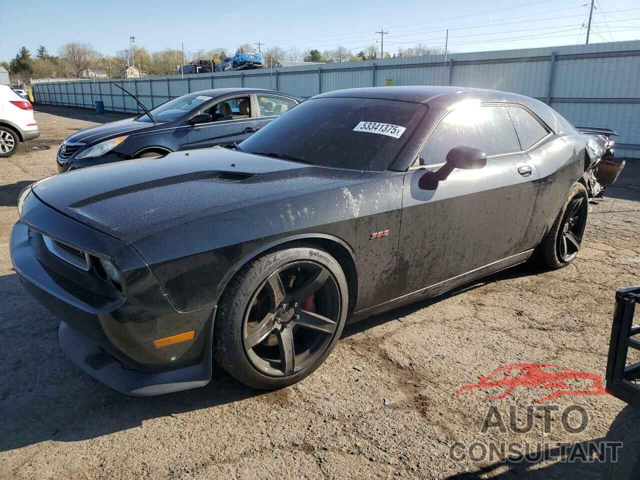 DODGE CHALLENGER 2013 - 2C3CDYCJ1DH614405