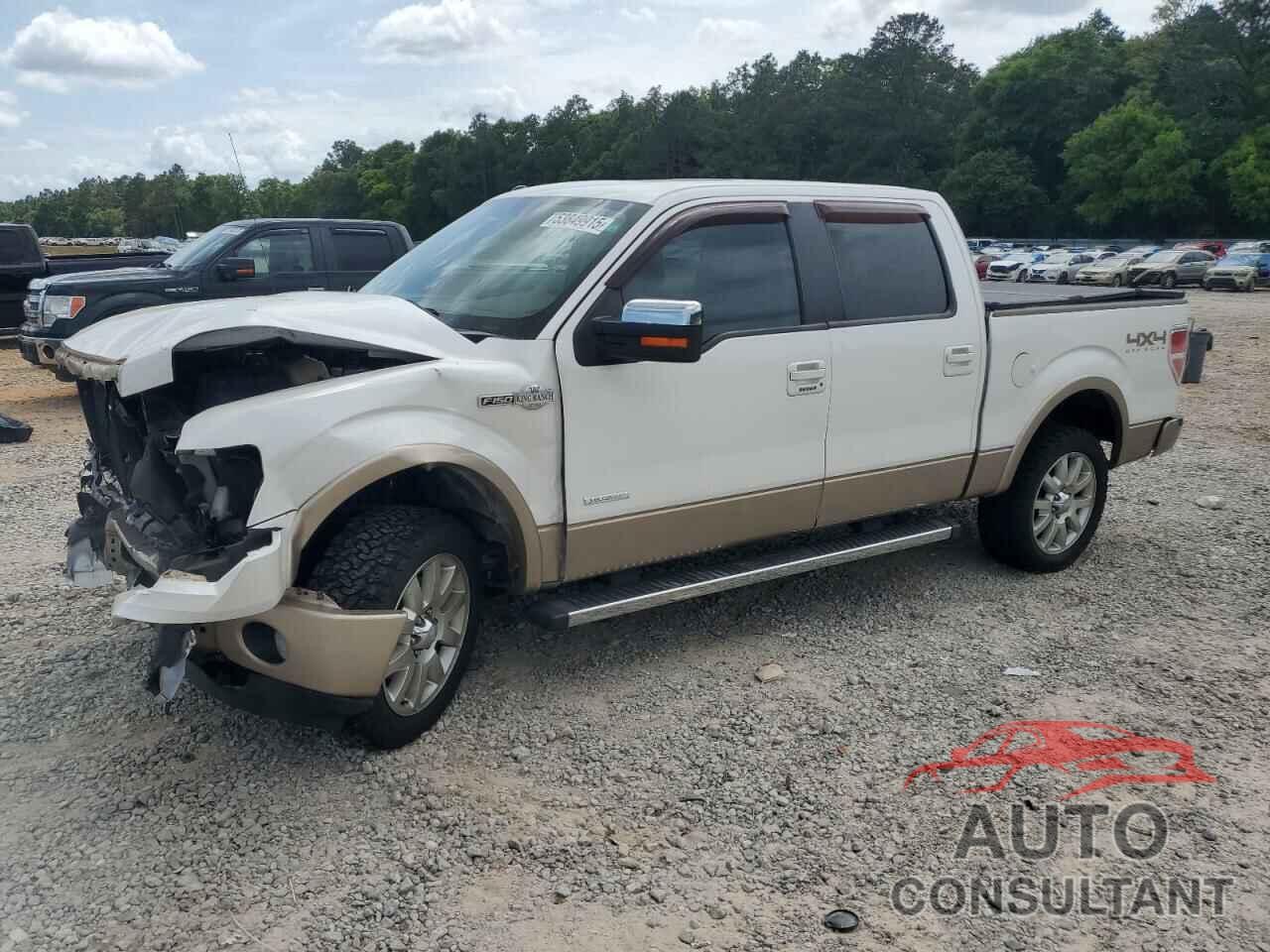 FORD F-150 2012 - 1FTFW1ETXCKD48799