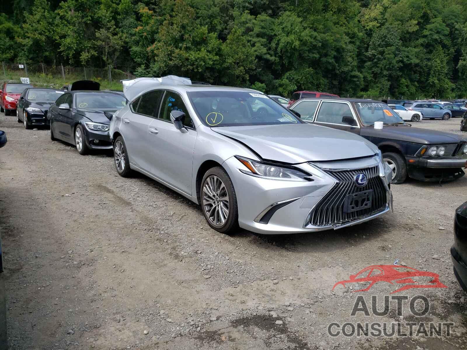 LEXUS ES300 2019 - JTHB21B17K2030570