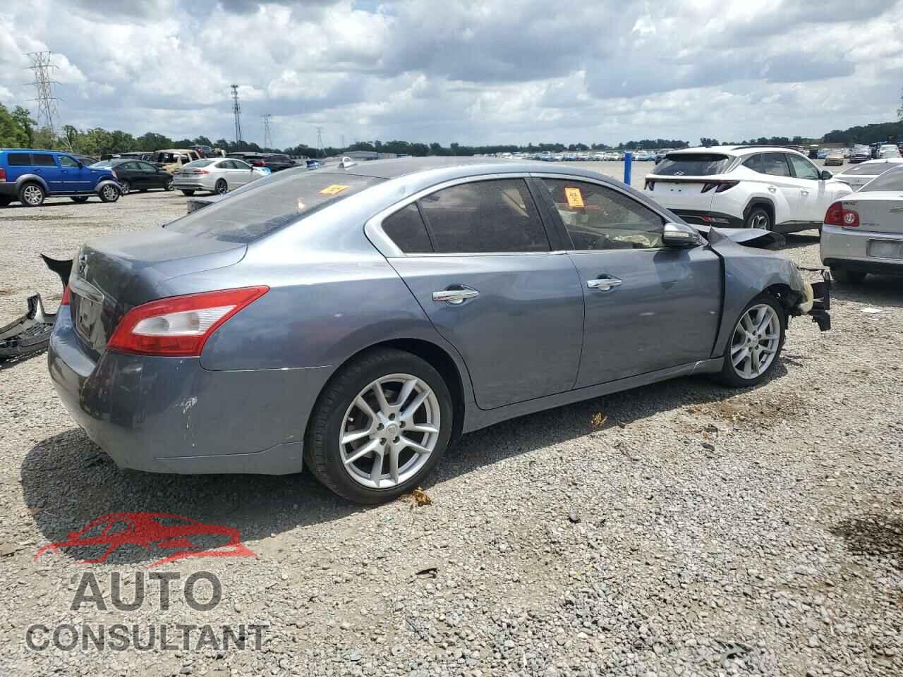 NISSAN MAXIMA 2011 - 1N4AA5APXBC802895