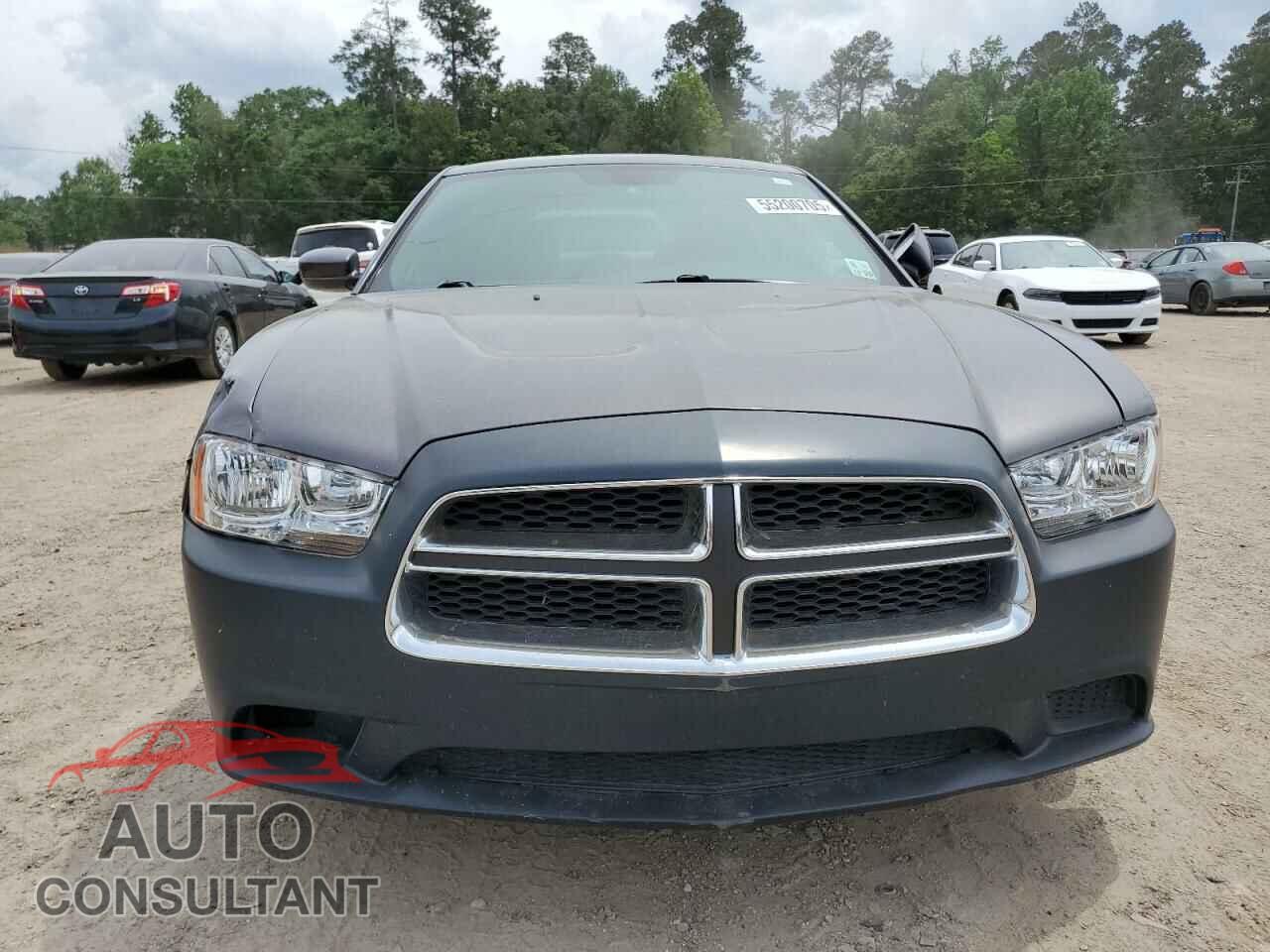 DODGE CHARGER 2014 - 2C3CDXBG7EH147024