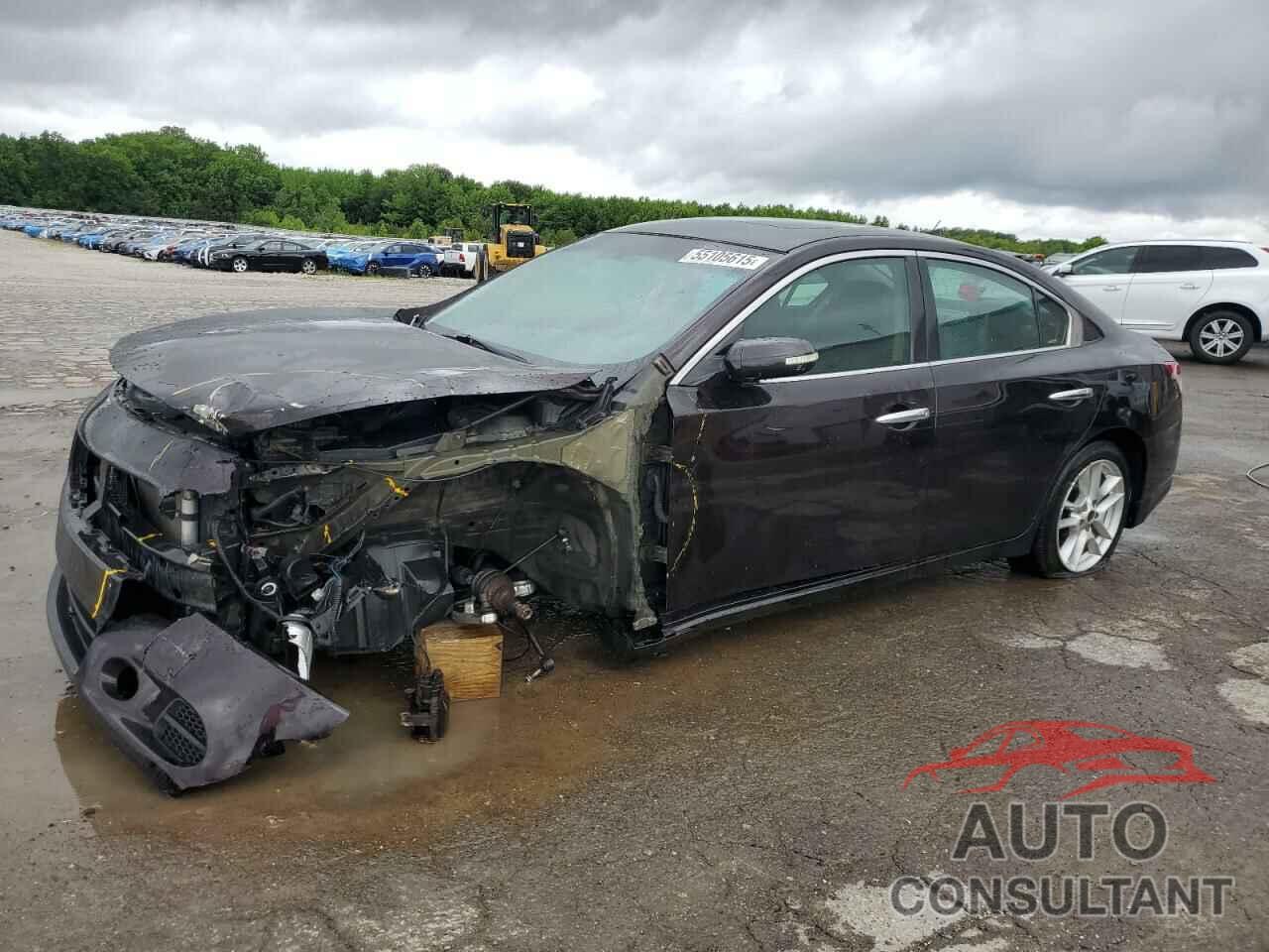 NISSAN MAXIMA 2011 - 1N4AA5AP7BC821453