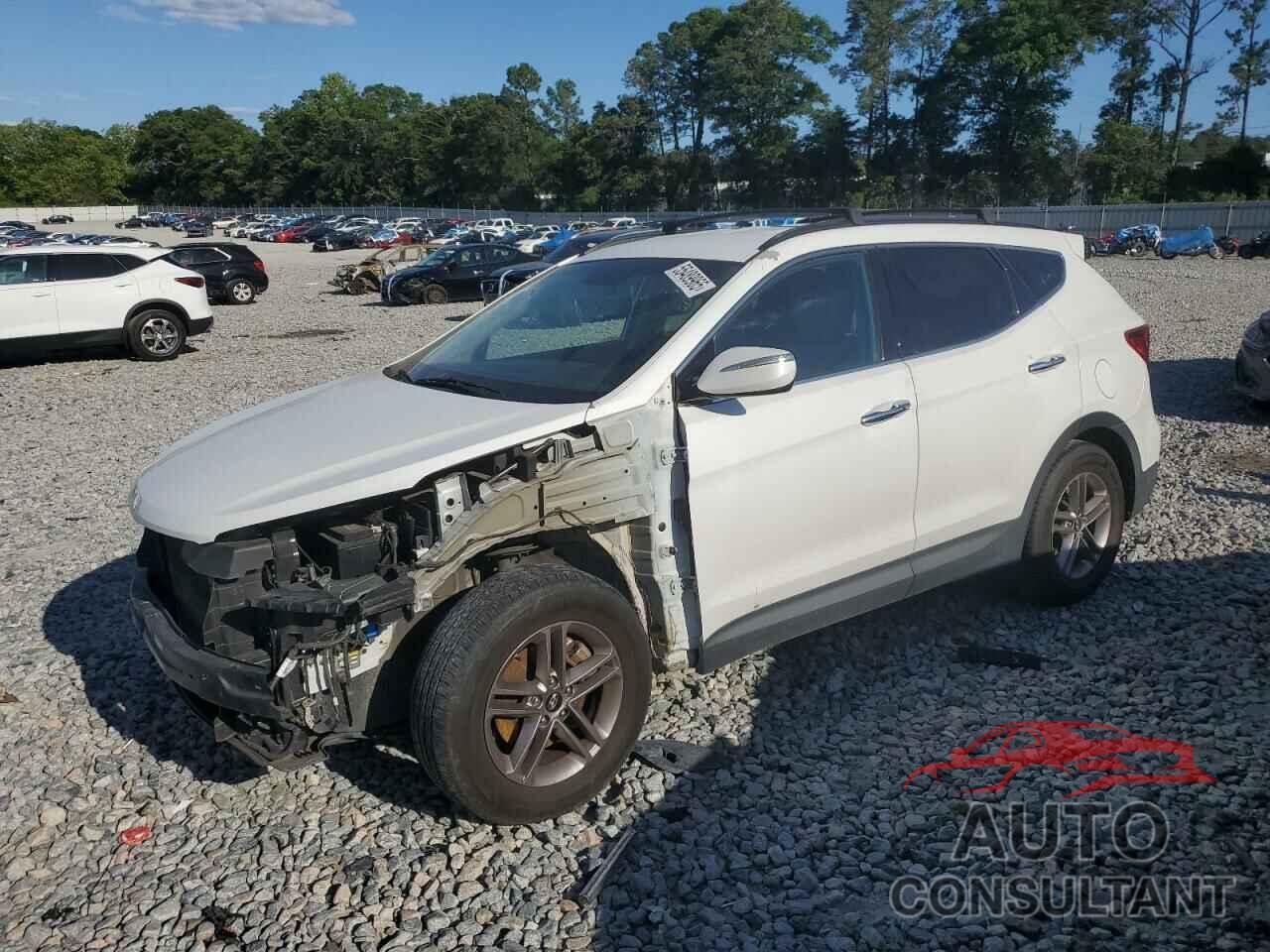 HYUNDAI SANTA FE 2017 - 5NMZUDLB6HH020166