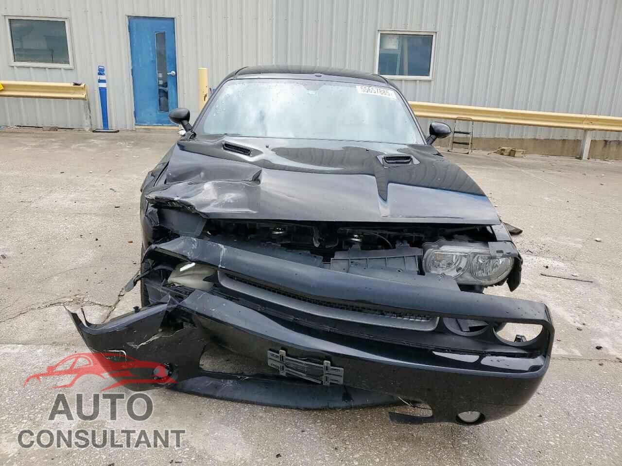 DODGE CHALLENGER 2013 - 2C3CDYAG7DH582194