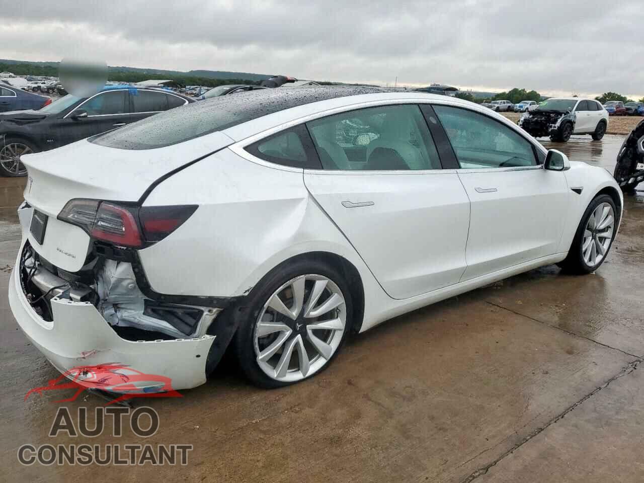 TESLA MODEL 3 2019 - 5YJ3E1EB2KF392305