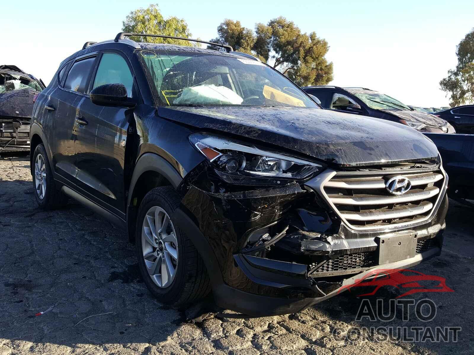 HYUNDAI TUCSON 2016 - KM8J33A40GU238749