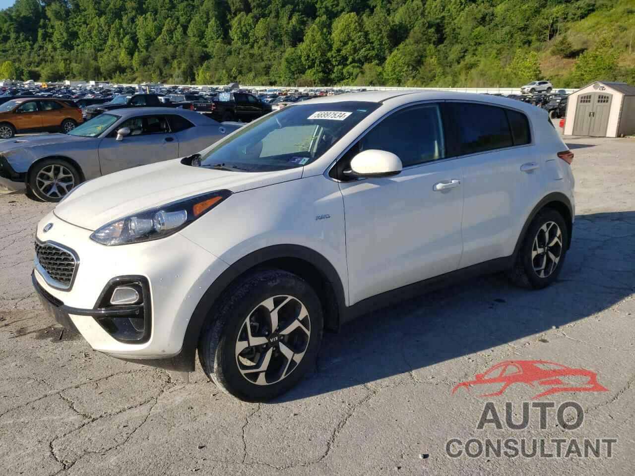 KIA SPORTAGE 2022 - KNDPMCAC4N7954021