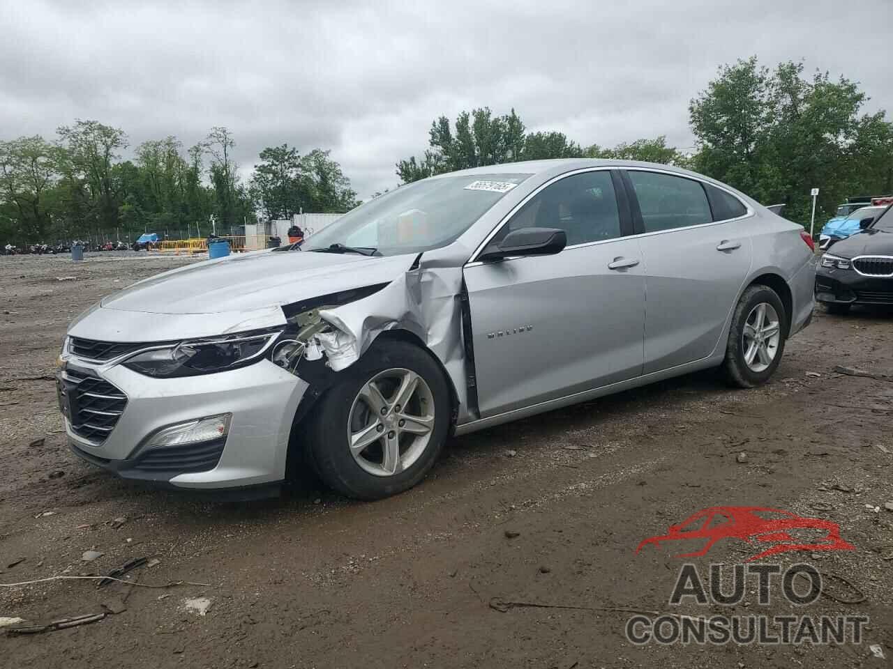 CHEVROLET MALIBU 2019 - 1G1ZB5ST7KF191978