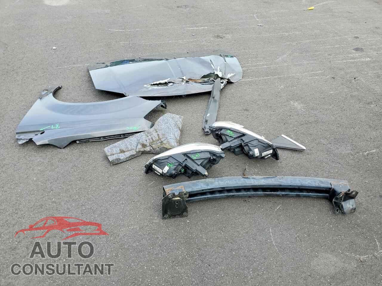 DODGE CARAVAN 2019 - 2C4RDGCG3KR542697