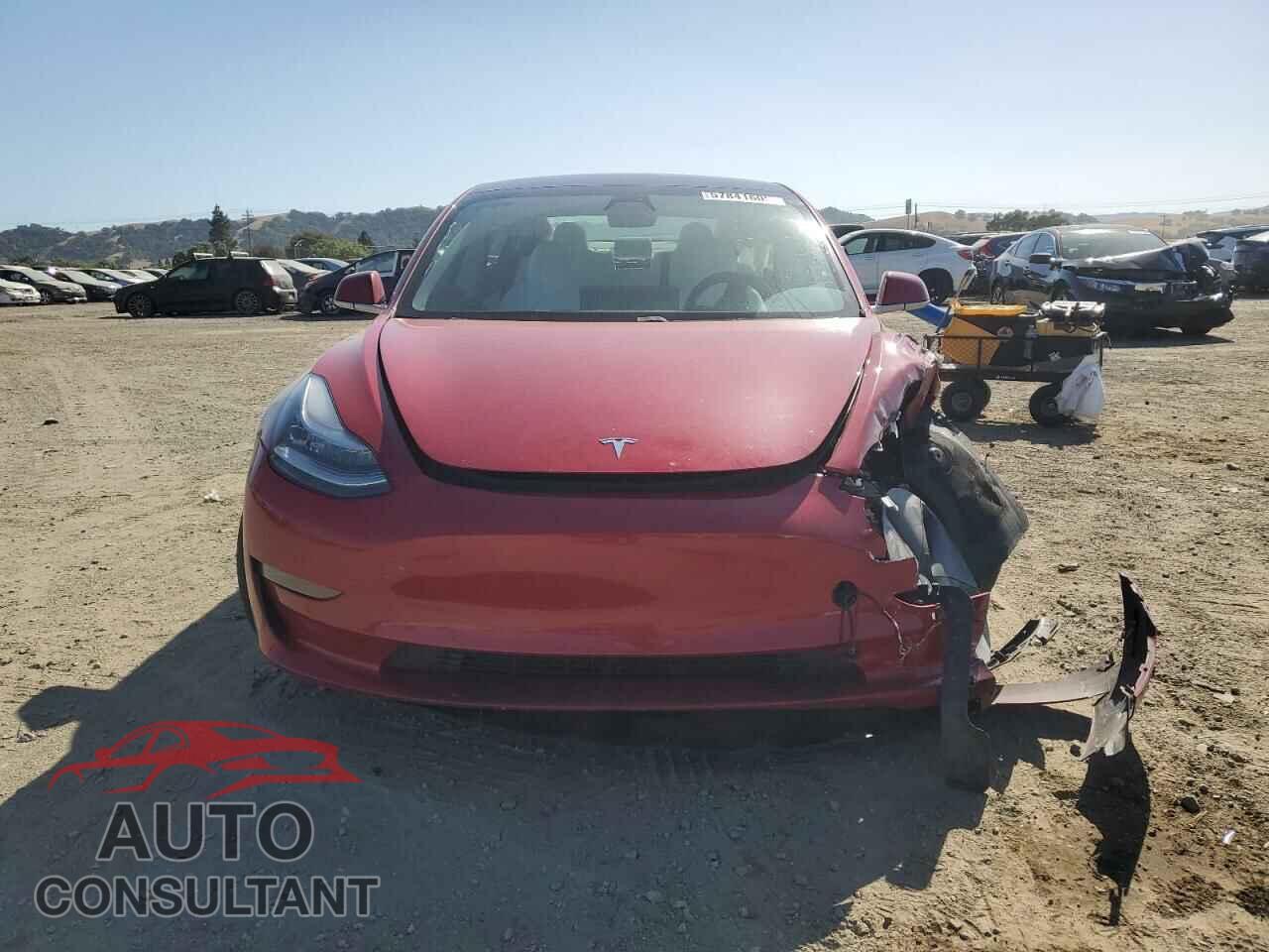 TESLA MODEL 3 2019 - 5YJ3E1EA3KF312453