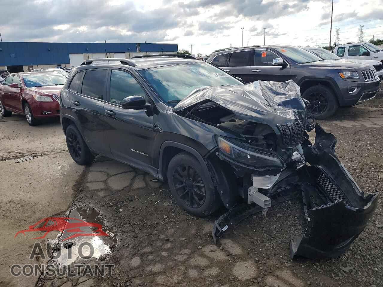 JEEP CHEROKEE 2019 - 1C4PJLLB0KD458305