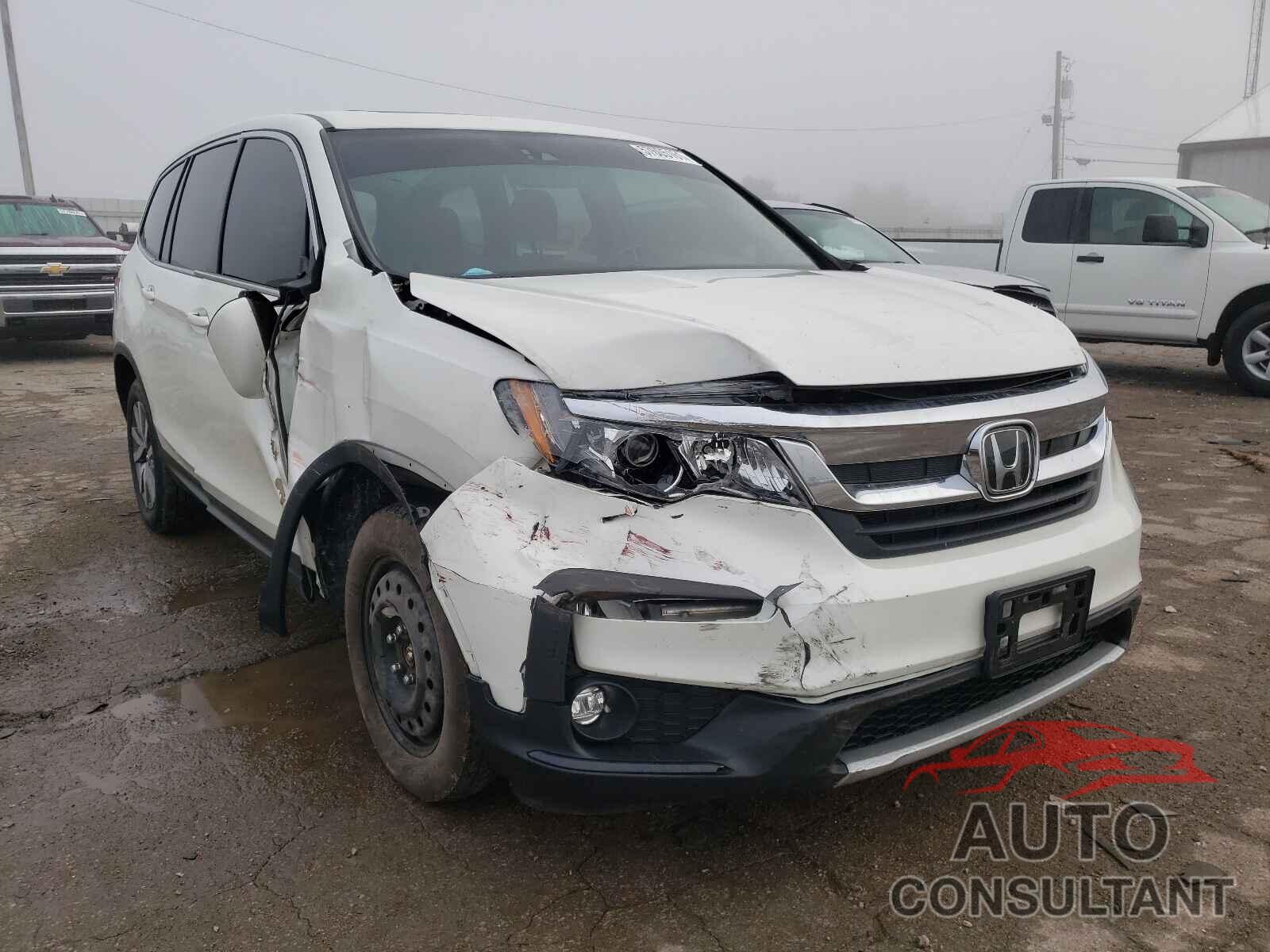 HONDA PILOT 2019 - 5FNYF5H53KB007267