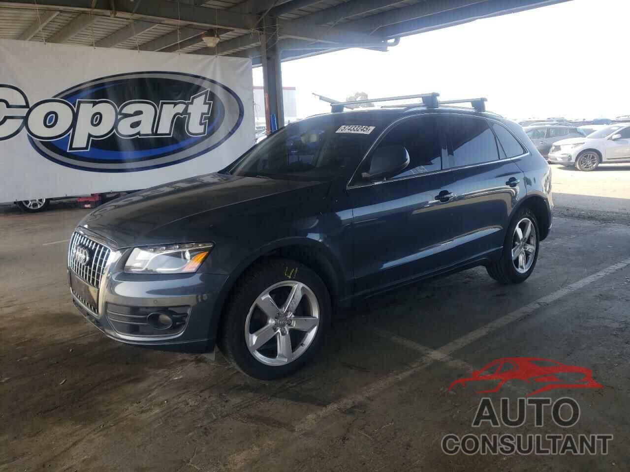 AUDI Q5 2010 - WA1LKAFP2AA084815