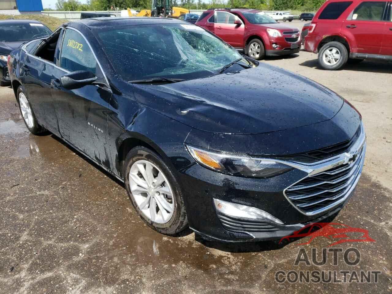 CHEVROLET MALIBU 2019 - 1G1ZD5STXKF119232