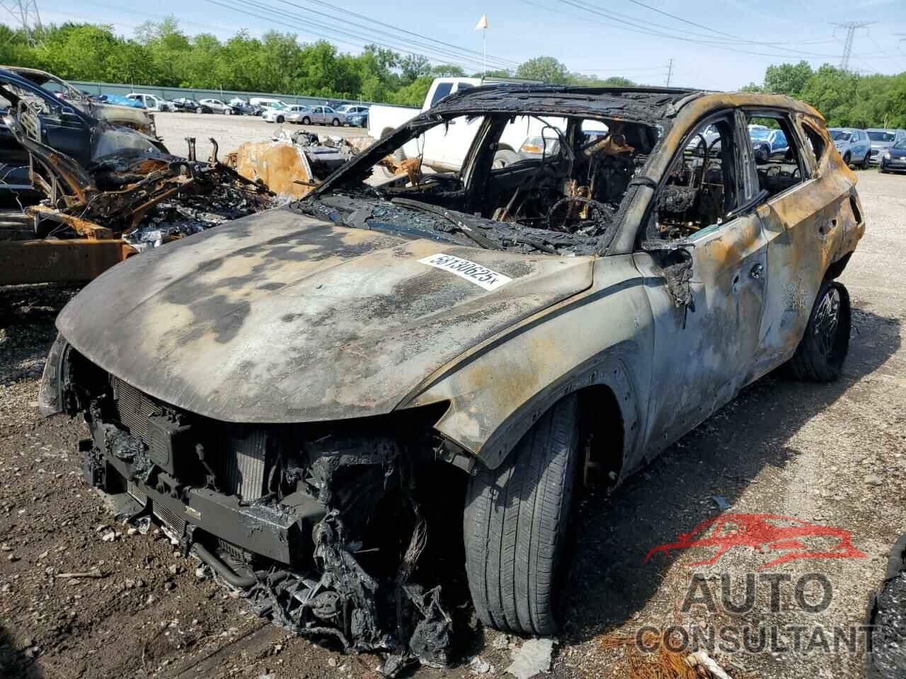 HYUNDAI TUCSON 2024 - KM8JFCD11RU180257