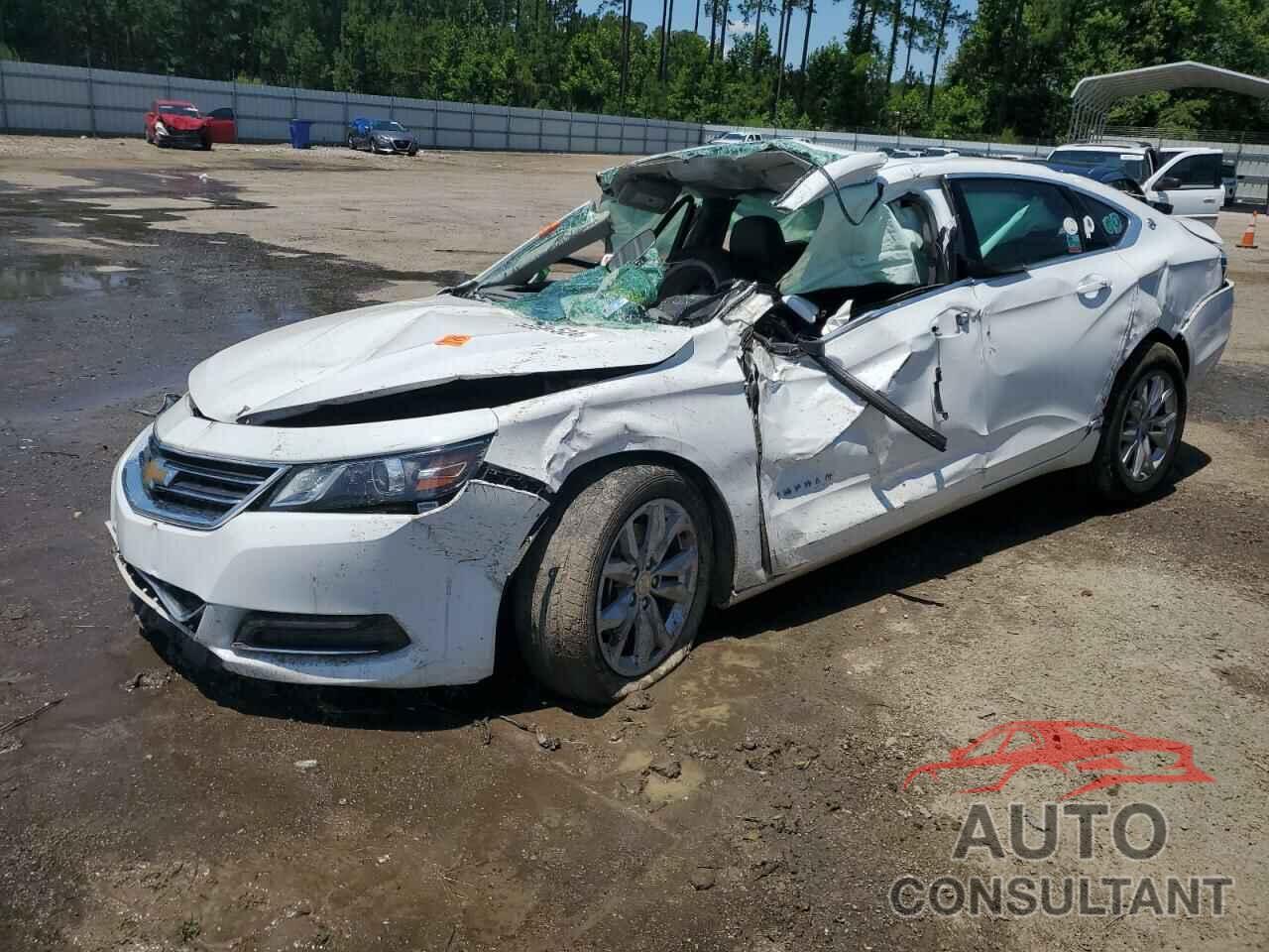 CHEVROLET IMPALA 2019 - 1G11Z5S34KU106311