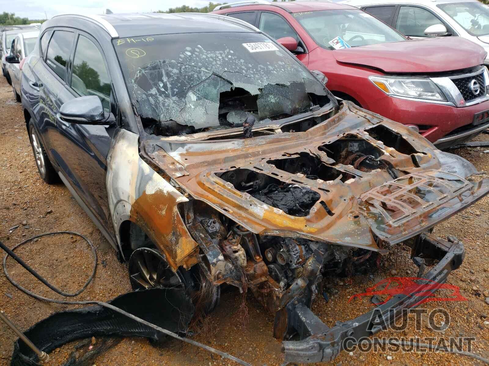 HYUNDAI TUCSON 2017 - KM8J33A47HU529511