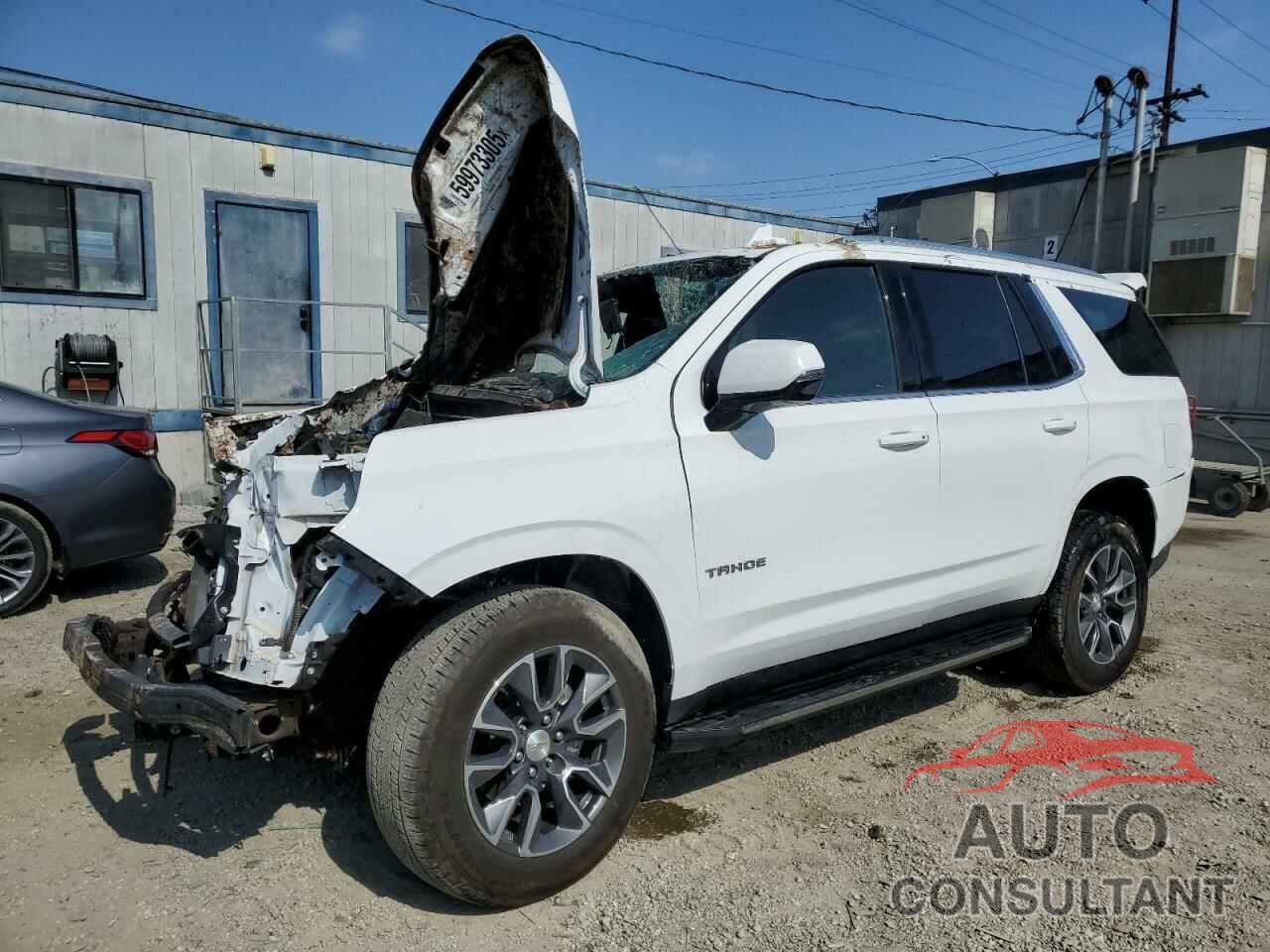 CHEVROLET TAHOE 2023 - 1GNSCNKD3PR503919