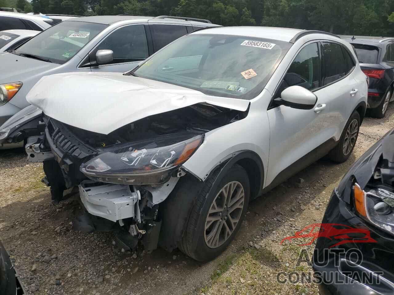 FORD ESCAPE 2022 - 1FMCU0H68NUB89485