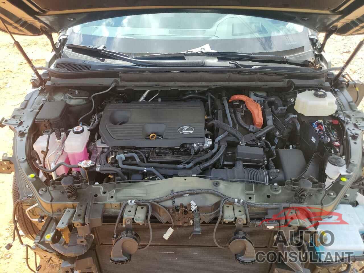 LEXUS RX 350H BA 2024 - 2T2BBMCA7RC043862