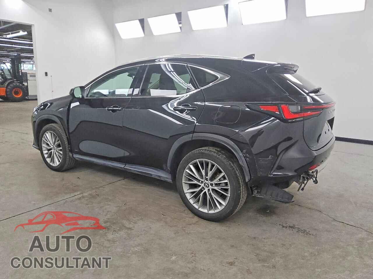 LEXUS NX 2024 - 2T2HGCEZ4RC048672