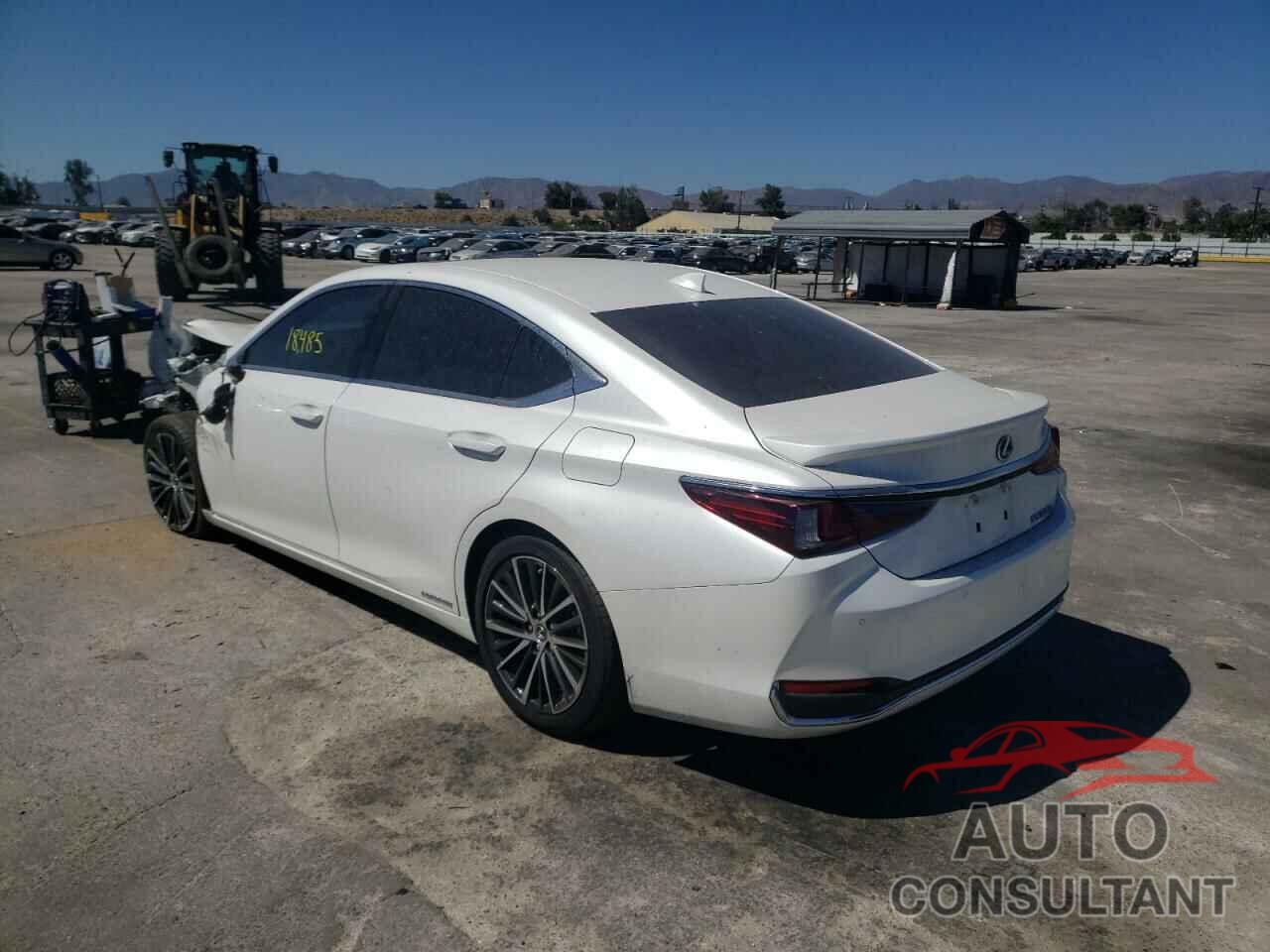 LEXUS ES300 2022 - 58ADA1C14NU017719