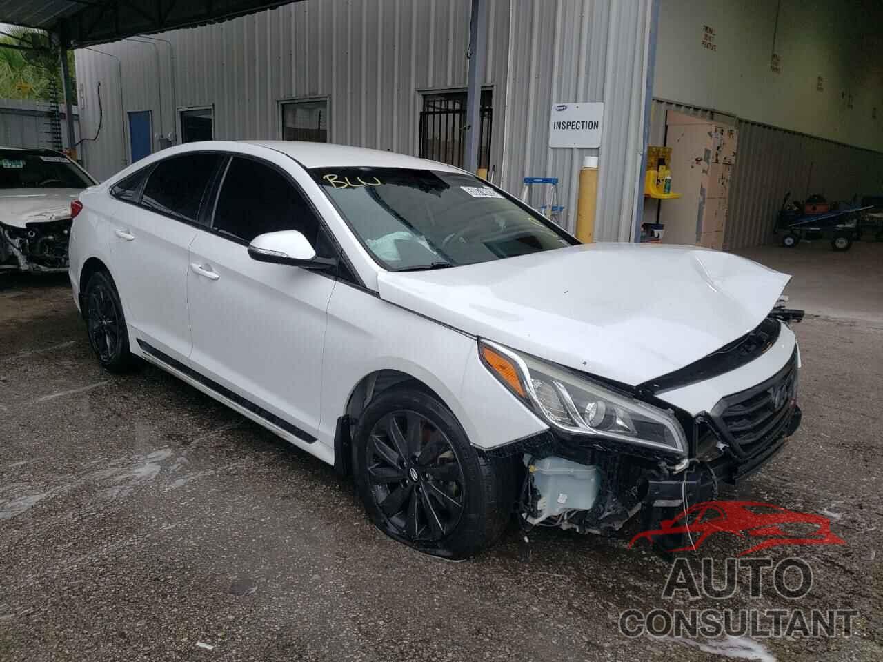 HYUNDAI SONATA 2016 - 5NPE34AF7GH303474
