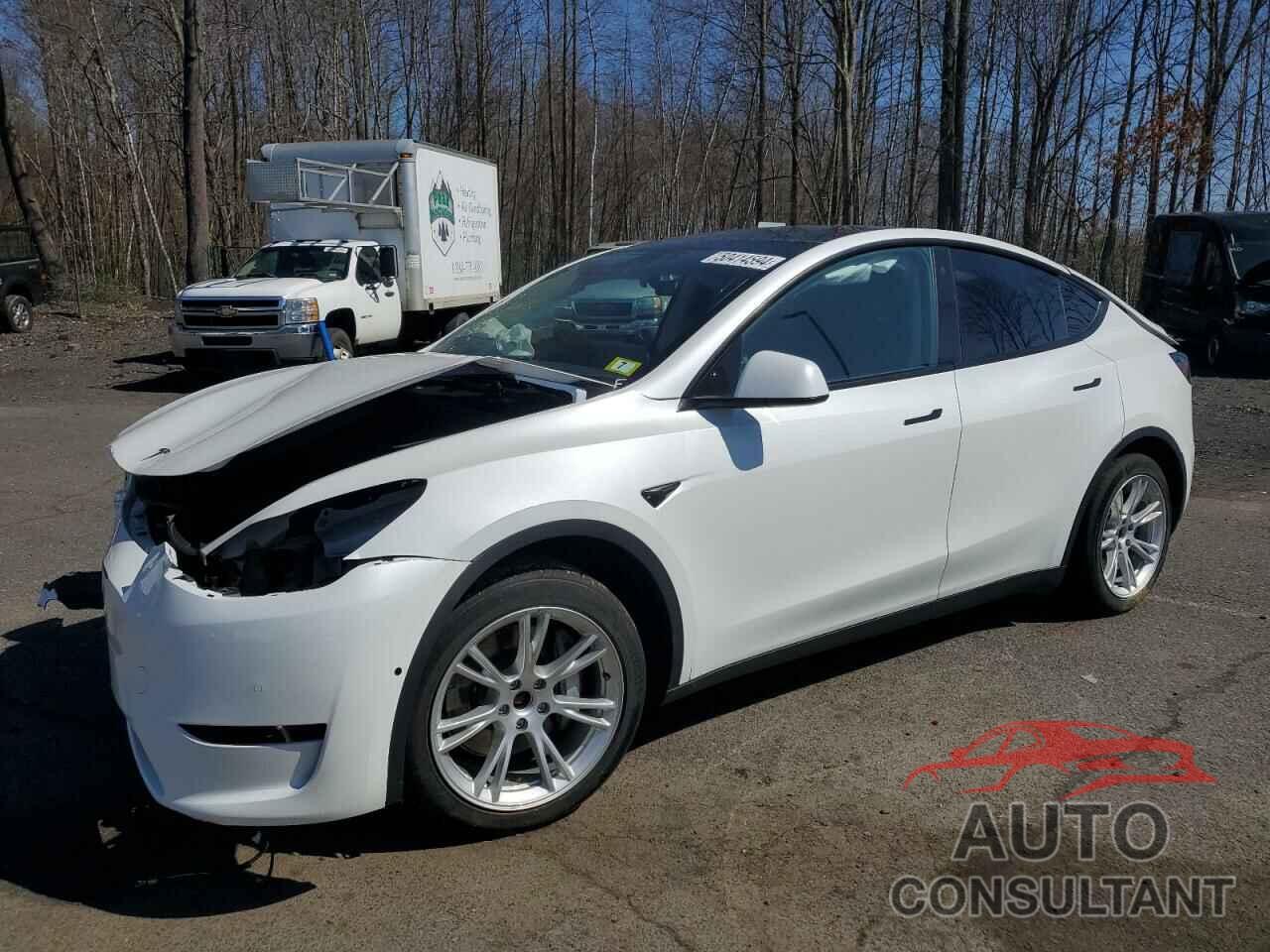 TESLA MODEL Y 2022 - 7SAYGAEE9NF315366