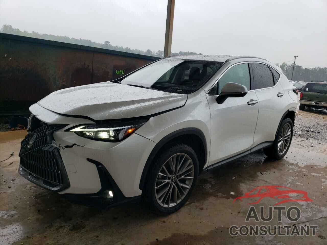 LEXUS NX 350 2022 - JTJGGCEZ5N2000913