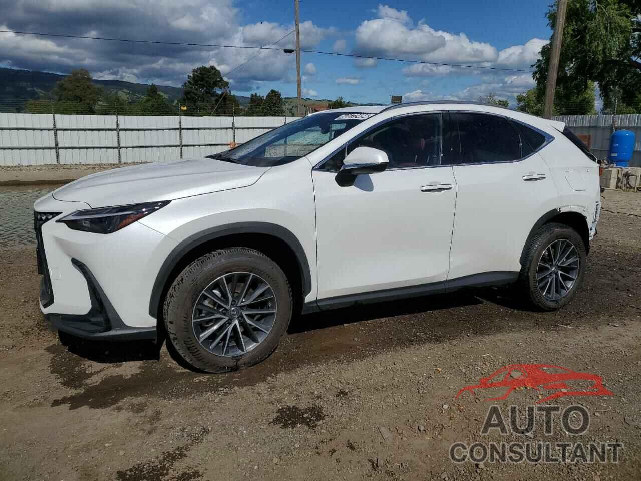 LEXUS NX 350H 2022 - JTJAKCEZ7N2009455