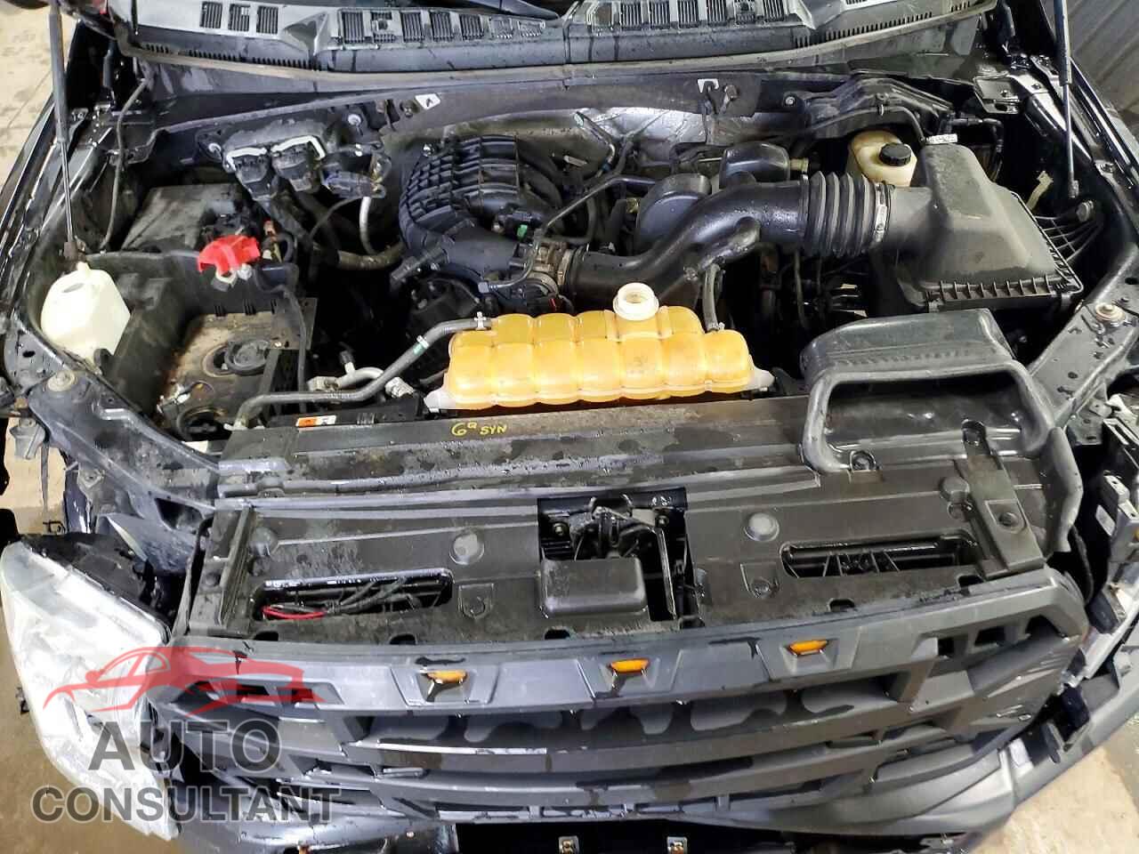 FORD All Models 2016 - 1FTMF1E8XGKD34796