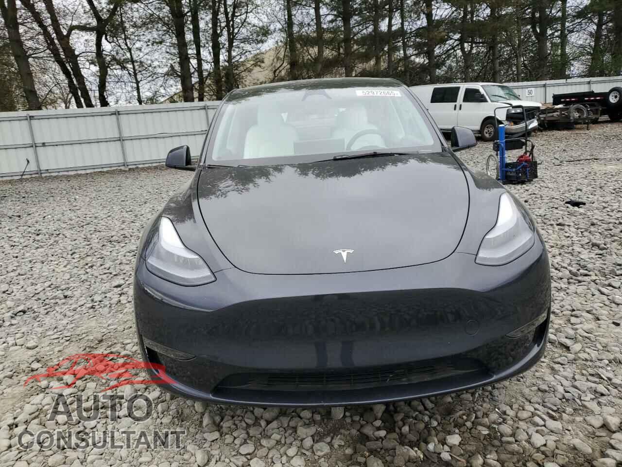 TESLA MODEL Y 2024 - 7SAYGDED5RF009554