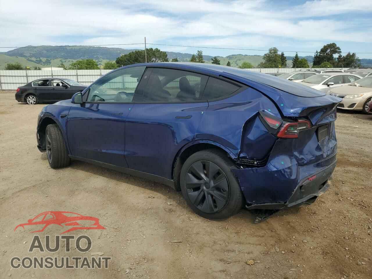 TESLA MODEL Y 2024 - 7SAYGDEDXRF194538