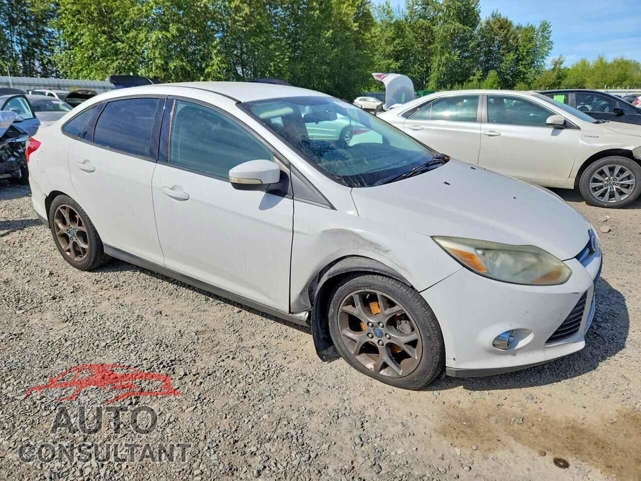 FORD FOCUS 2013 - 1FADP3F23DL384163