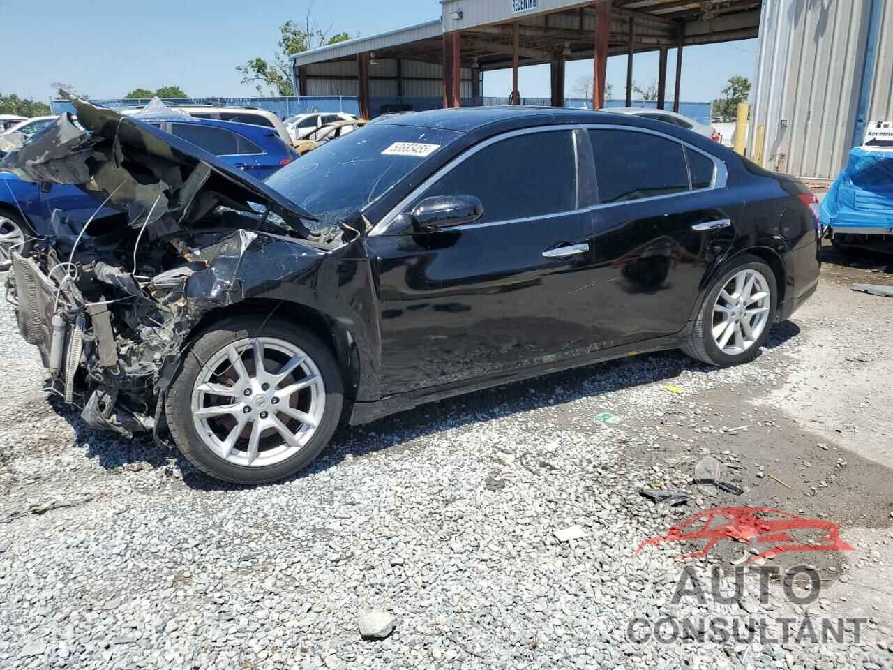 NISSAN MAXIMA 2009 - 1N4AA51E69C847857