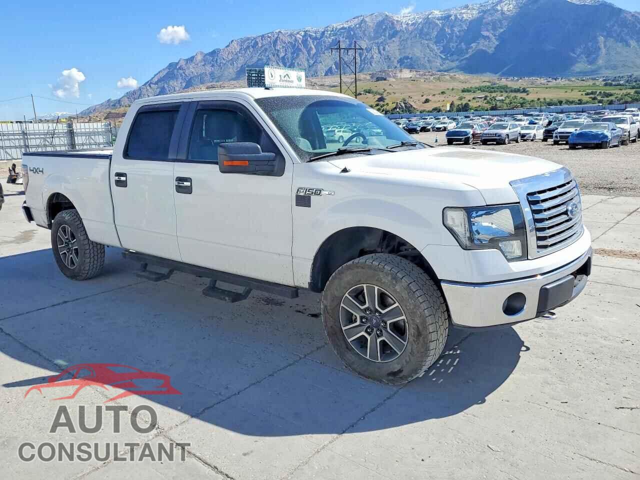 FORD F150 2012 - 1FTFW1EF4CFC98355