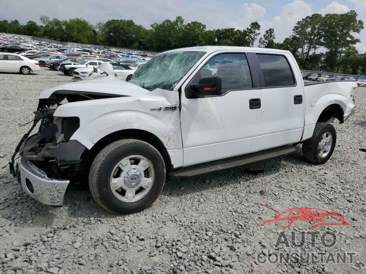 FORD F-150 2014 - 1FTEW1CM1EKD47051