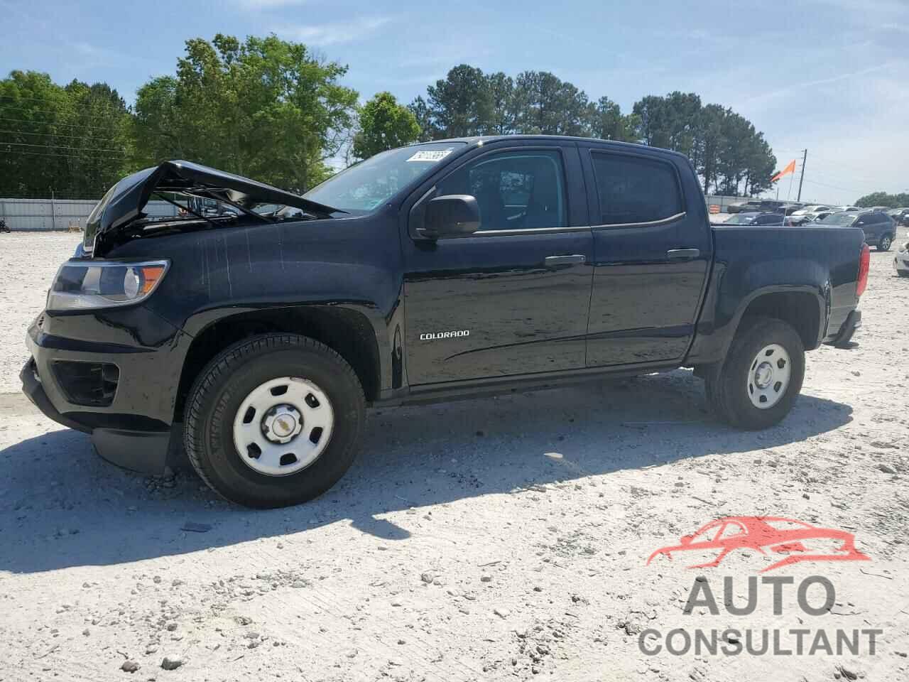 CHEVROLET COLORADO 2019 - 1GCGSBEN8K1266632