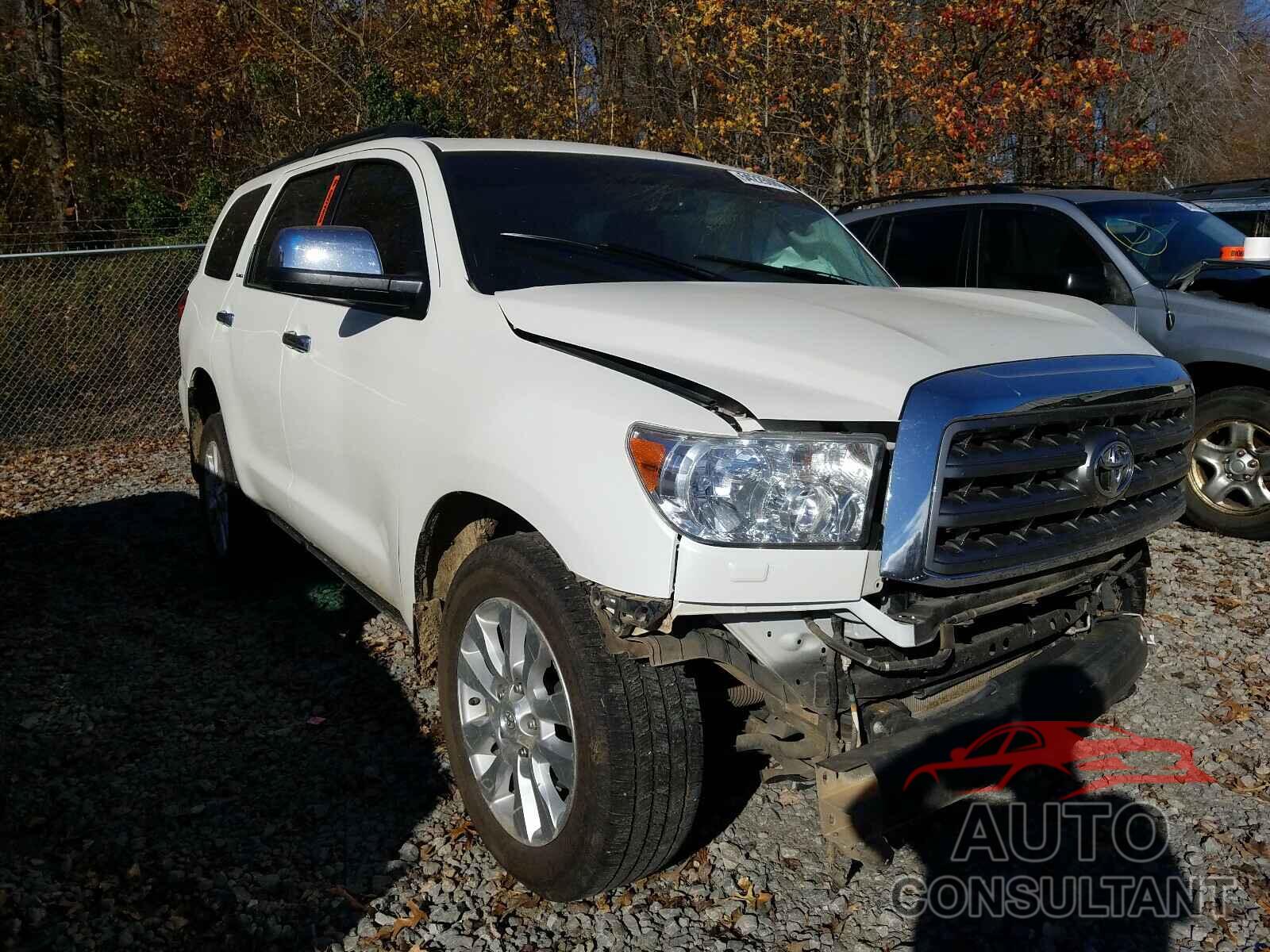 TOYOTA SEQUOIA 2016 - 5TDDW5G10GS141363