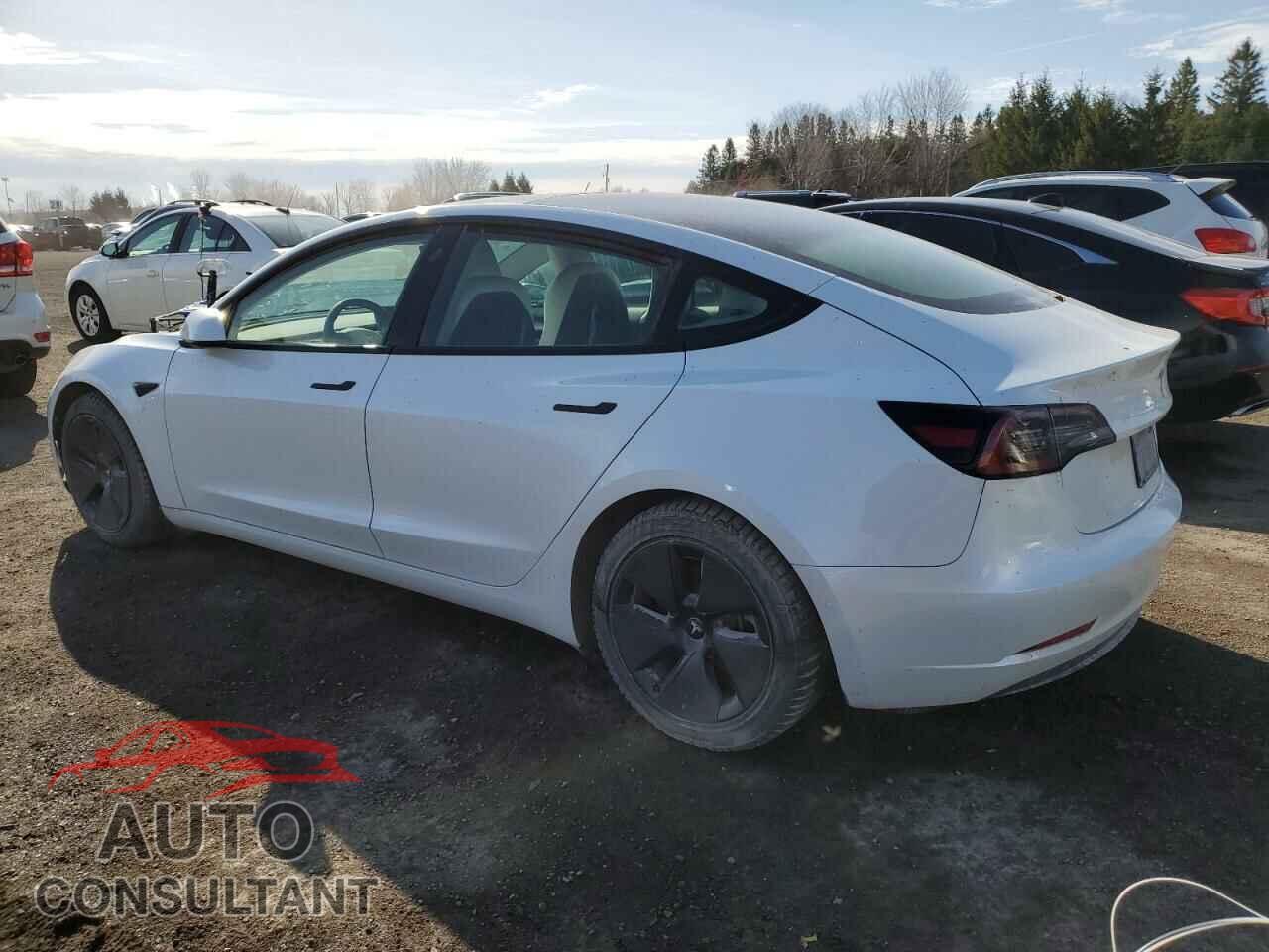 TESLA MODEL 3 2022 - 5YJ3E1EB9NF239876