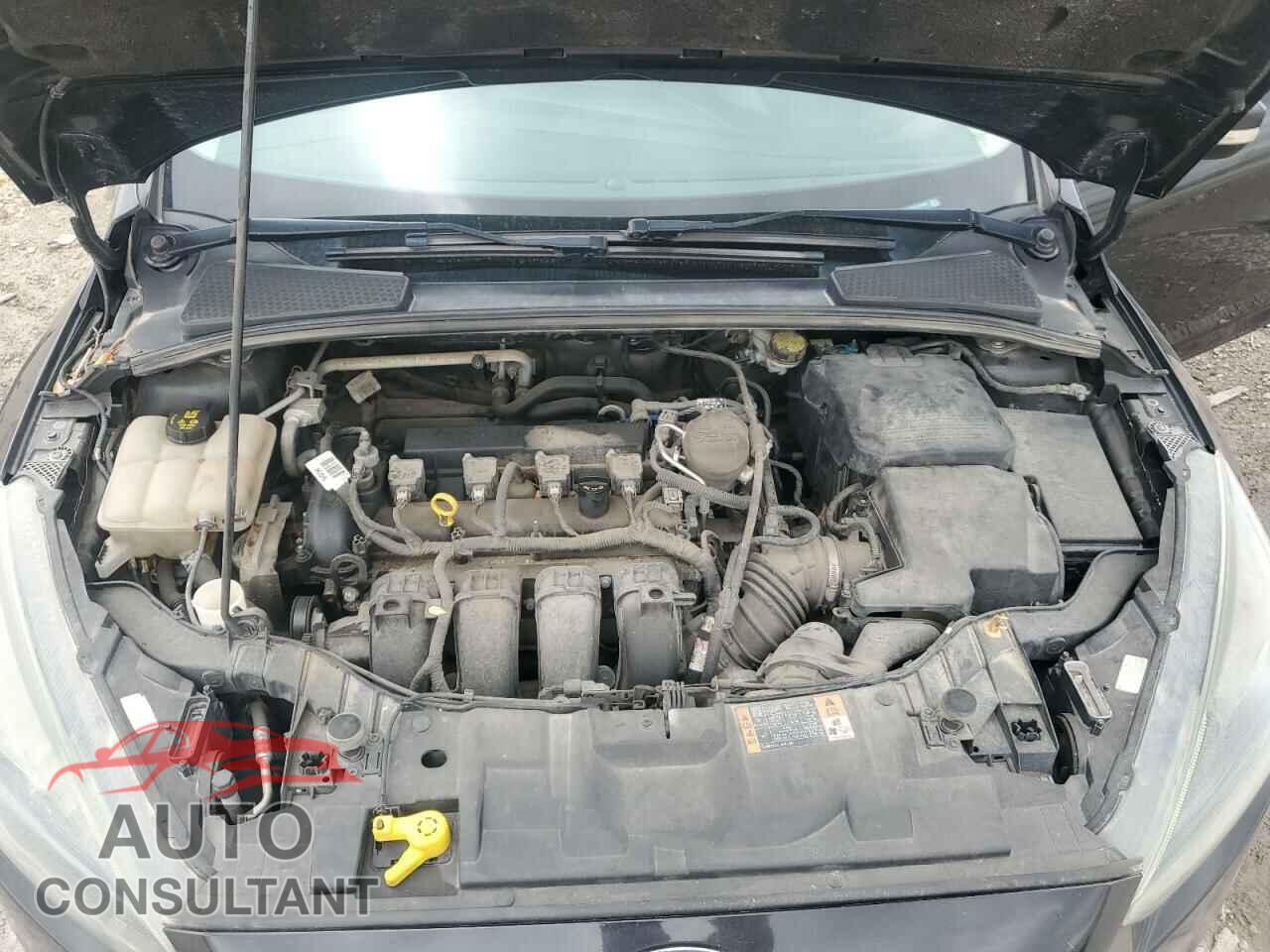 FORD FOCUS 2015 - 1FADP3K23FL319564