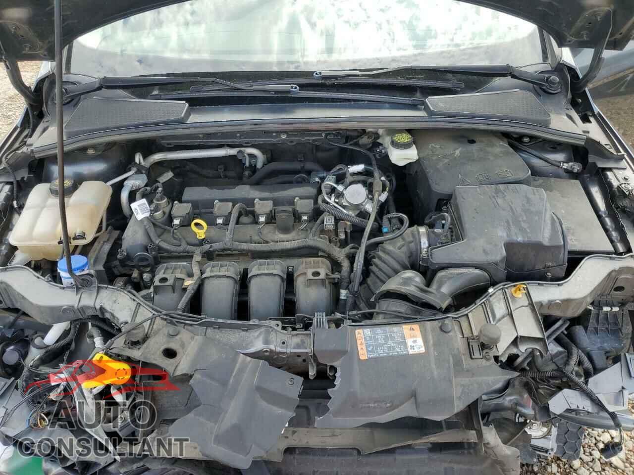 FORD FOCUS 2017 - 1FADP3E2XHL202014