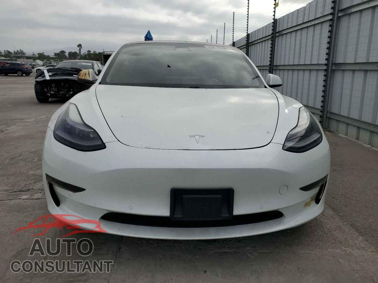 TESLA MODEL 3 2021 - 5YJ3E1EBXMF924841