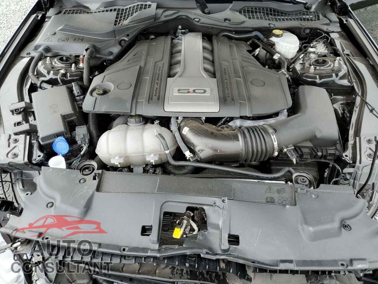 FORD MUSTANG 2020 - 1FA6P8CF6L5189304