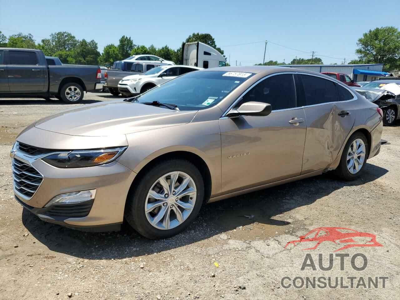 CHEVROLET MALIBU 2019 - 1G1ZD5ST1KF125856
