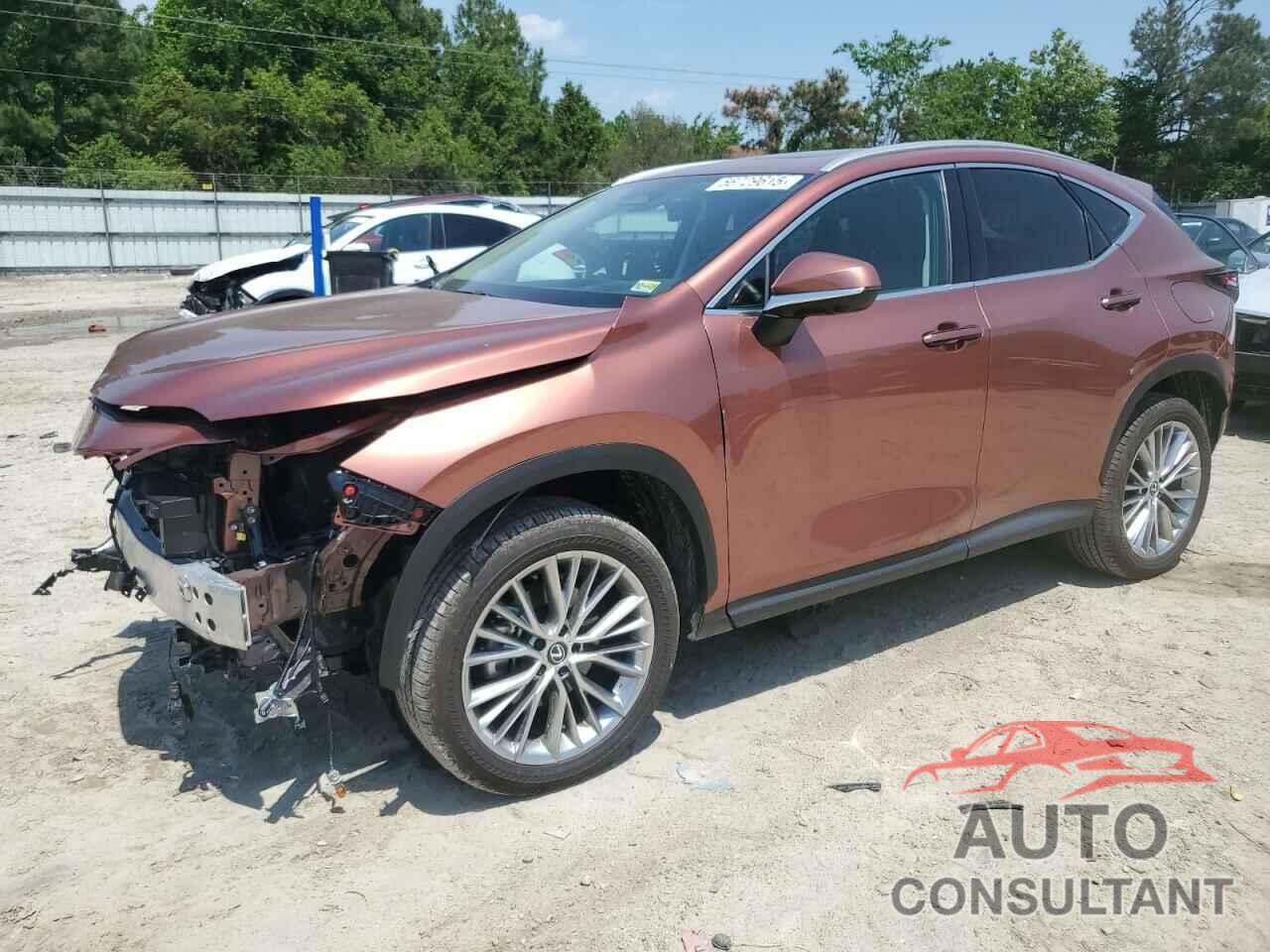 LEXUS NX 350H BA 2025 - 2T2GKCEZ3SC040711